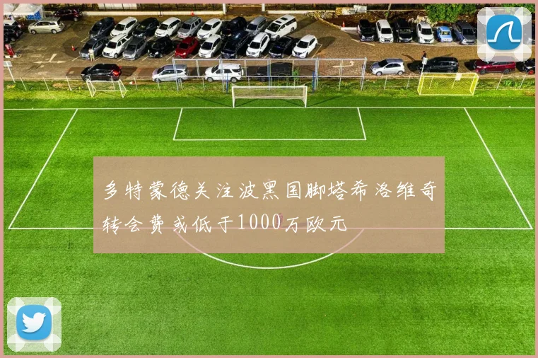 多特蒙德关注波黑国脚塔希洛维奇转会费或低于1000万欧元