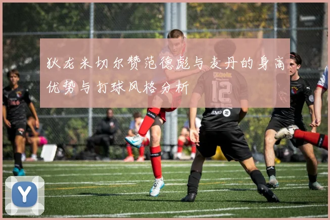 狄龙米切尔赞范德彪与麦丹的身高优势与打球风格分析